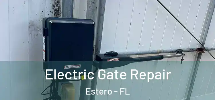 Electric Gate Repair Estero - FL