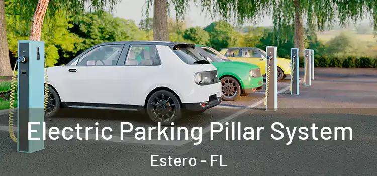 Electric Parking Pillar System Estero - FL