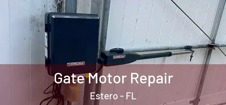 Gate Motor Repair Estero - FL