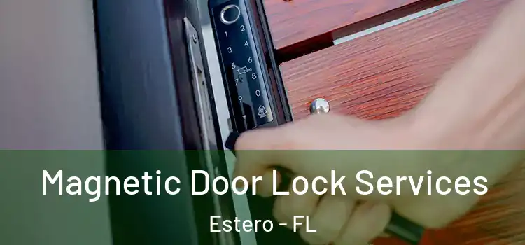Magnetic Door Lock Services Estero - FL